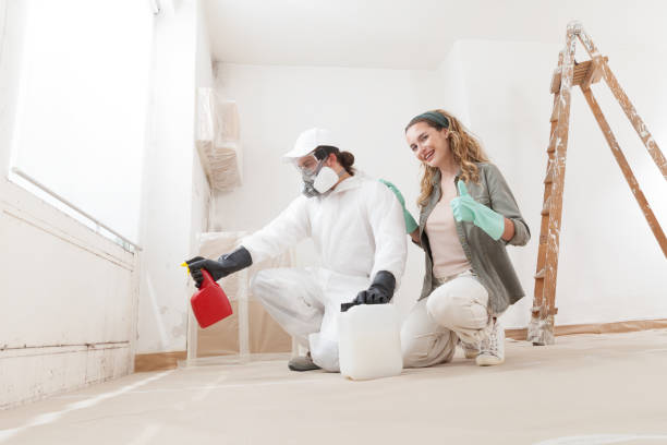 Mold Remediation for Vacation Homes in Kemmerer, WY